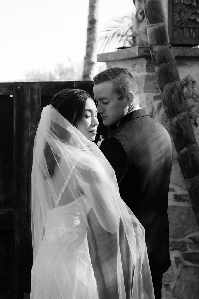 stunning b&w picture of the bride and groom