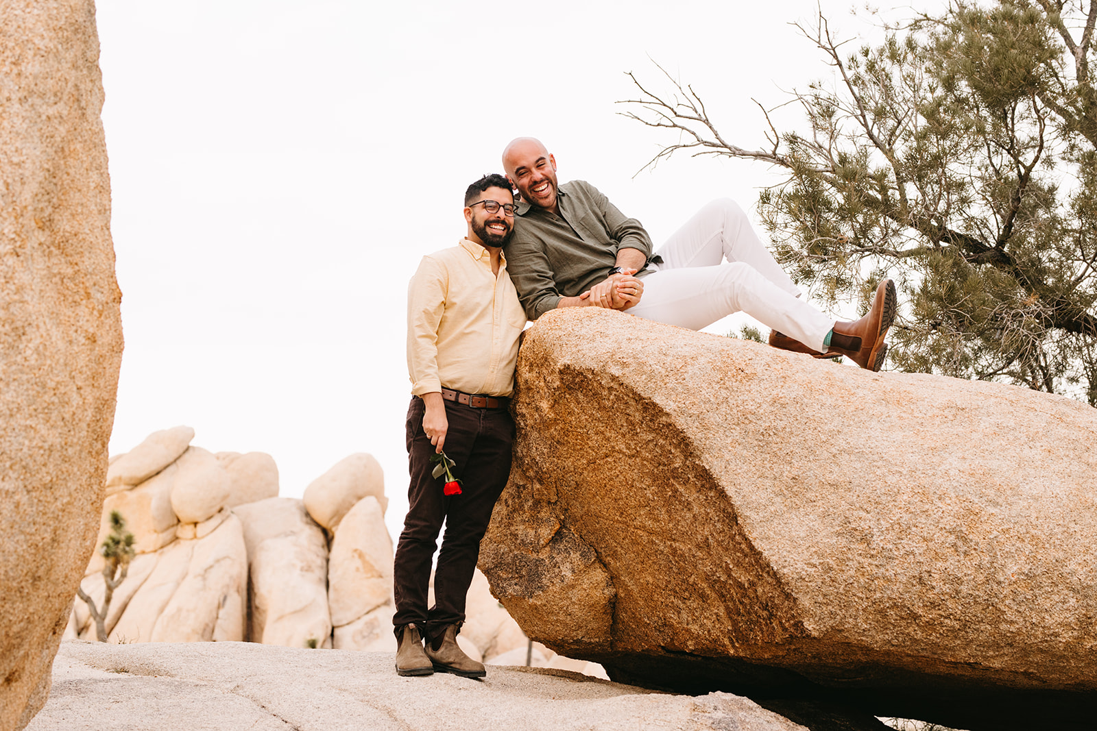 Emotional LGBTQ Spring Proposal in Joshua Tree National Park